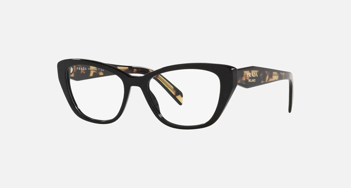 PR 19WV / Black(1AB1O1) / 53-17-140