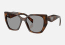 PR 19ZS-Prada / Grey/Juniper Tortoise(20D50Q) / 55-17-145