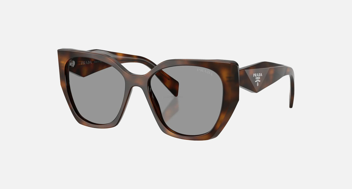 PR 19ZS / Grey/Juniper Tortoise(20D50Q) / 55-17-145
