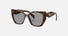 PR 19ZS / Grey/Juniper Tortoise(20D50Q) / 55-17-145