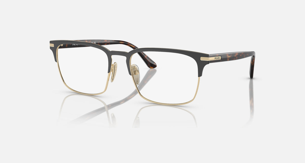 PR 58ZV / Matte Brunished/Pale Gold and Havana(01U1O1) / 55-19-145