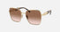 PR 64ZS / brown/gold(ZVN0A6) / 57-18-140
