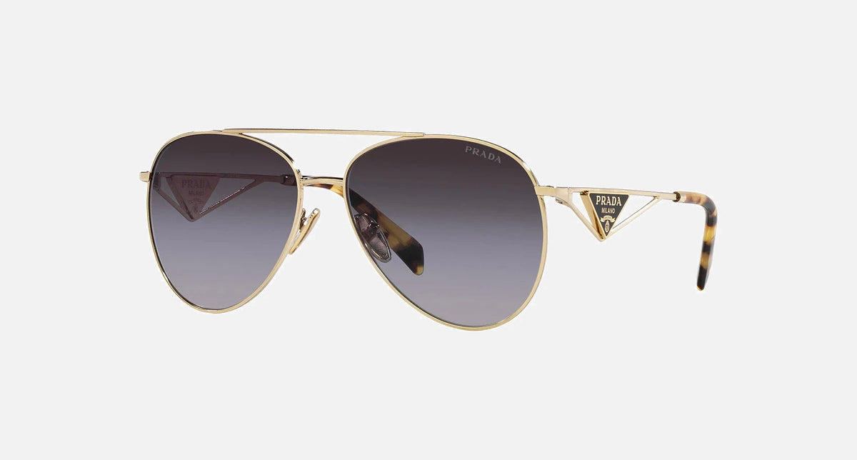 PR 73ZS / Grey Gradient/Pale Gold(ZVN5D1) / 58-14-140