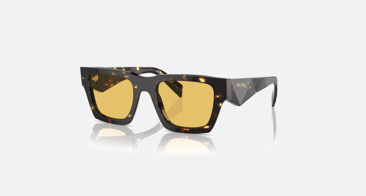 PR A06S / Yellow/Tortoise Black Malt(16O10C) / 50-21-145