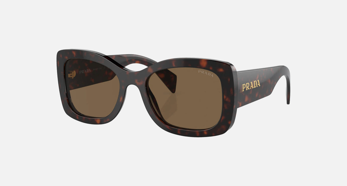 PR A08S / Dark Brown Polarized/Briar Tortoise(16N5Y1) / 56-20-145