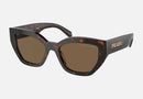 PR A09S-Prada / Dark Brown Polarized/Briar Tortoise(16N5Y1) / 53-18-145