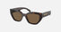 PR A09S / Dark Brown Polarized/Briar Tortoise(16N5Y1) / 53-18-145
