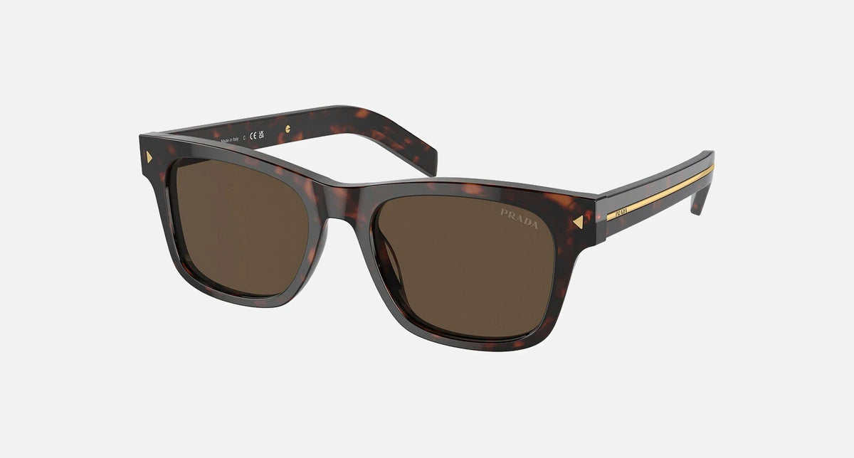 PR A17S / Dark Brown/Radica Tortoise(17N70F) / 51-19-145