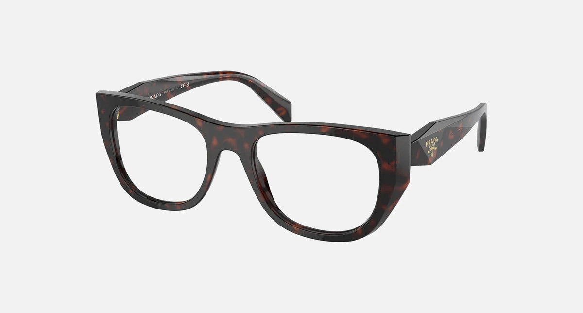 PR A18V / Root Tortoise(17N1O1) / 50-19-145