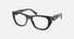 PR A18V / Root Tortoise(17N1O1) / 50-19-145