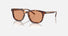 PR A21S / Orange/Magma Tortoise(14O07V) / 53-20-145