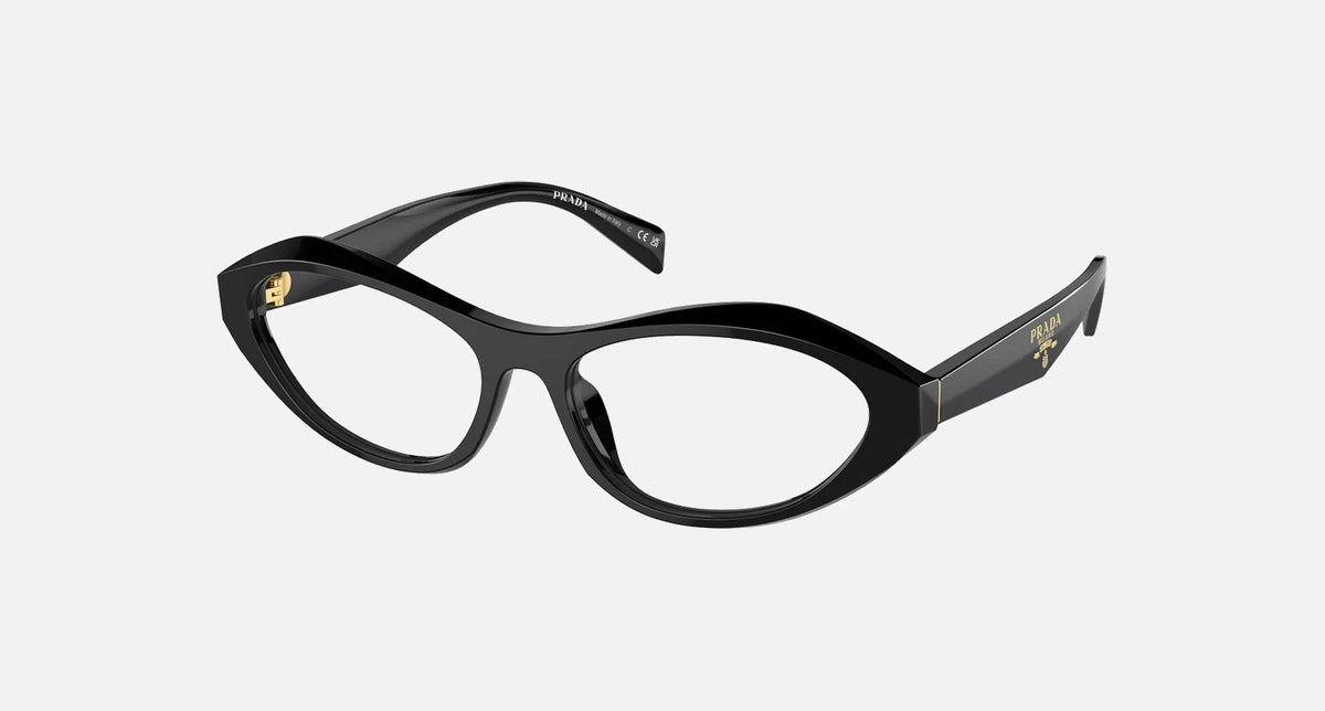 PR A21V / Black(16K1O1) / 53-16-135