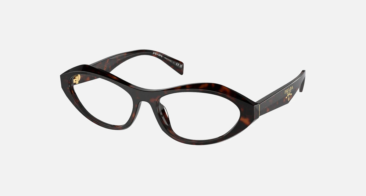 PR A21V / Root Tortoise(17N1O1) / 53-16-135