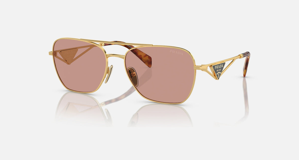 PR A50S / Dark Violet/Gold(5AK08M) / 59-17-140