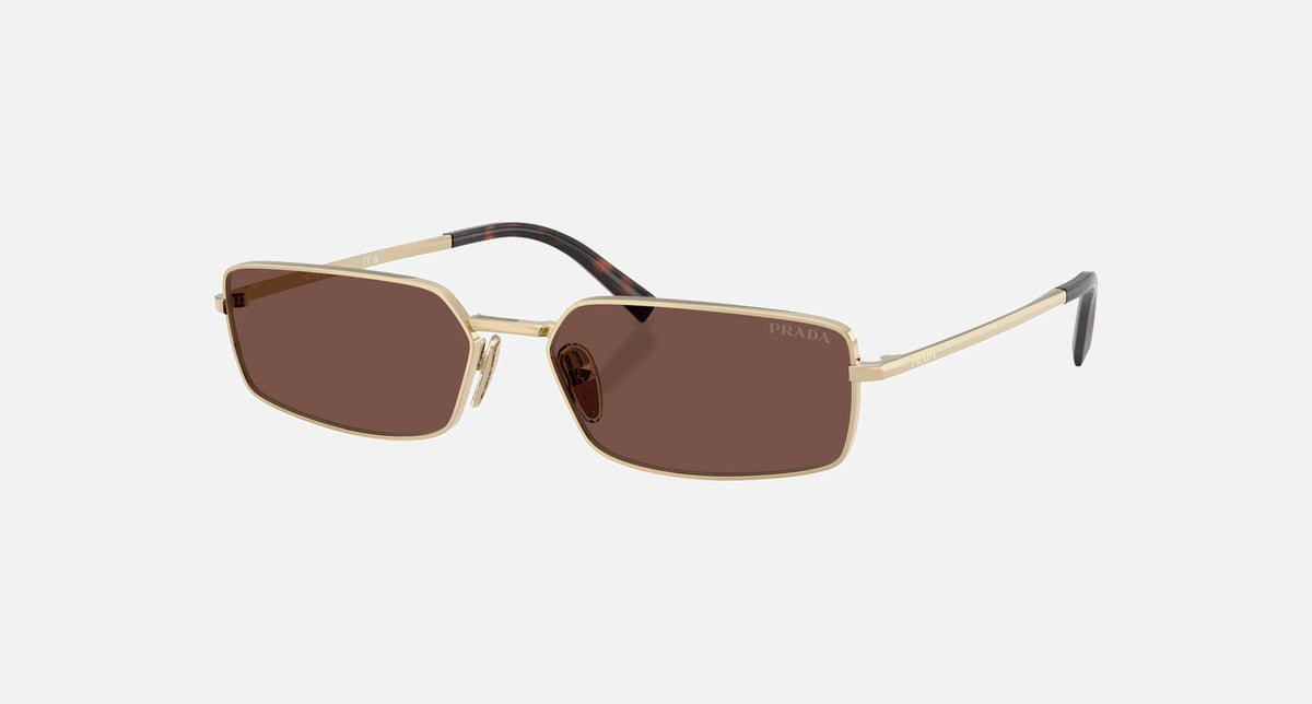 PR A60S / Black Chocolate/Pale Gold(ZVN80T) / 59-16-135