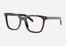 PR B11V-Prada / Root Tortoise(17N1O1) / 50-20-145