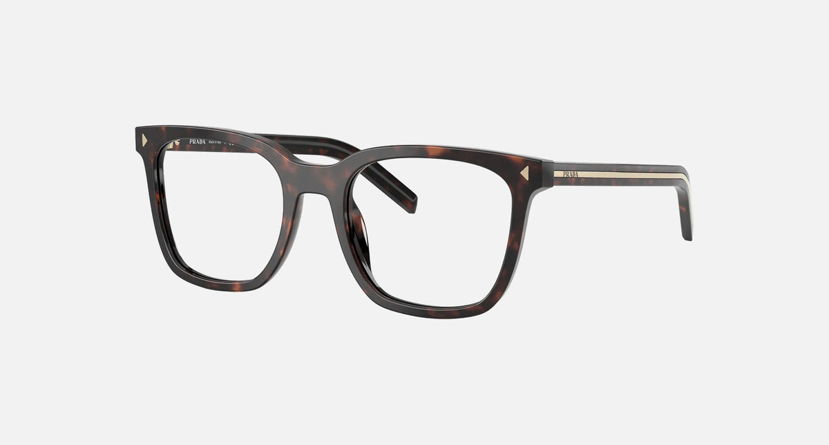PR B11V / Root Tortoise(17N1O1) / 50-20-145