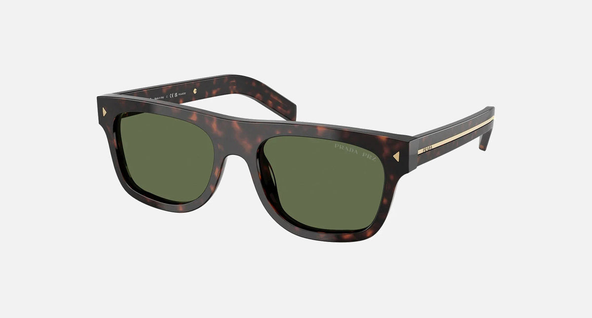 PR B12S / Polarized Green/Root Tortoise(17N20G) / 55-19-145