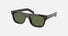 PR B12S / Polarized Green/Root Tortoise(17N20G) / 55-19-145