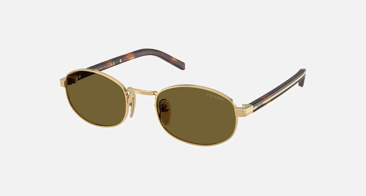 PR B53S / Dark Brown/Gold/Classic Tortoise(5AK09Z) / 49-21-145