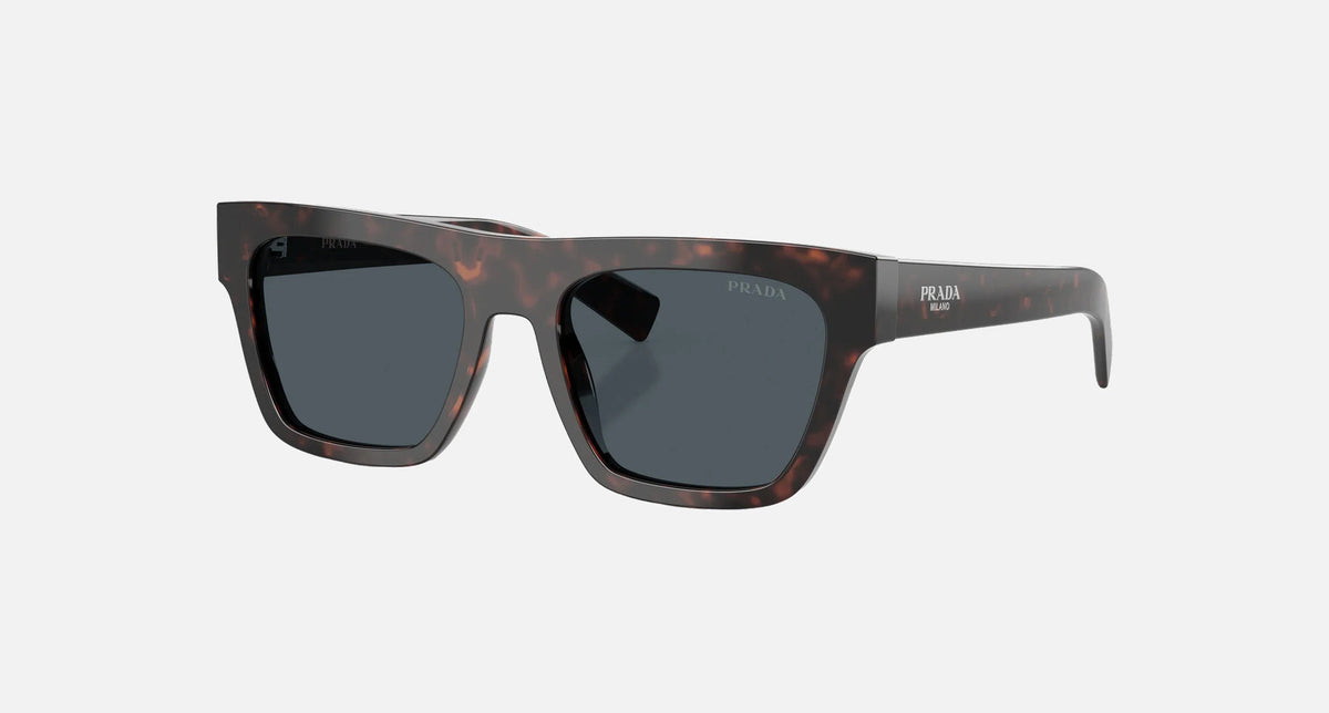PR C03S / Dark Grey/Root Havana(17N70B) / 54-19-140