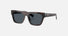 PR C03S / Dark Grey/Root Havana(17N70B) / 54-19-140