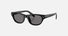 PR C08S / Dark Grey Polarized/Black(16K90T) / 50-20-145