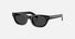 PR C09S / Black Polarized/Black(16K08G) / 51-21-145