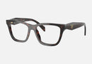 PR C10V-Prada / Root Tortoise(17N1O1) / 52-17-145