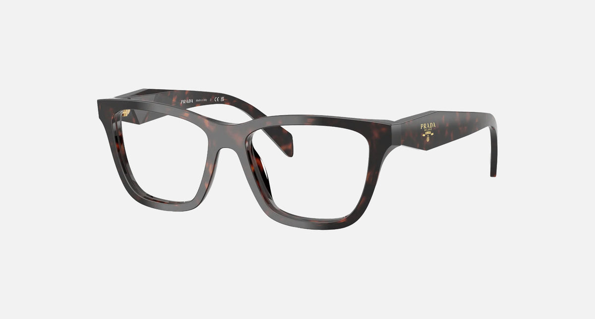 PR C10V / Root Tortoise(17N1O1) / 52-17-145
