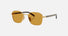 PR C50S / Dark Honey/Gold(5AK50P) / 51-20-145