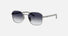 PR C50S / Grey Gradient/Gunmetal(5AV90S) / 51-20-145