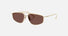 PR C51S / Black Chocolate/Pale Gold(ZVN80T) / 58-15-145