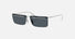 PR C53S / Dark Grey/Silver(1BC70B) / 60-14-145
