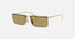 PR C53S / Green Olive/Gold(5AK70G) / 60-14-145
