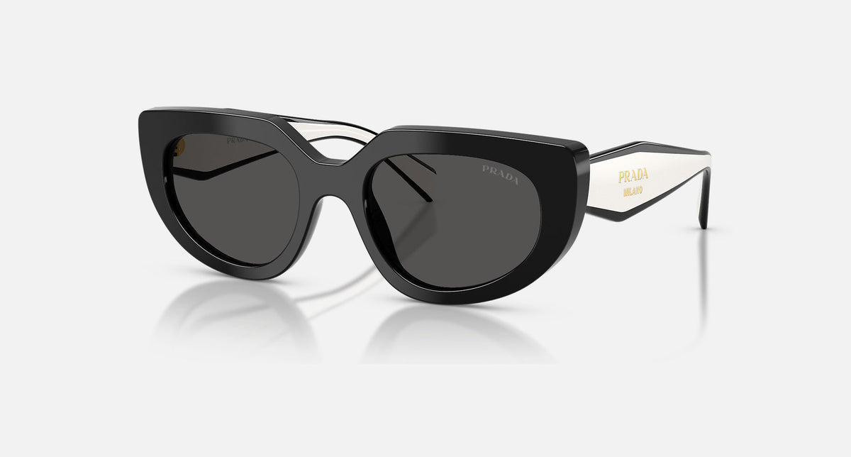 PR D02S / Dark Grey/Black(20G08Z) / 53-20-140