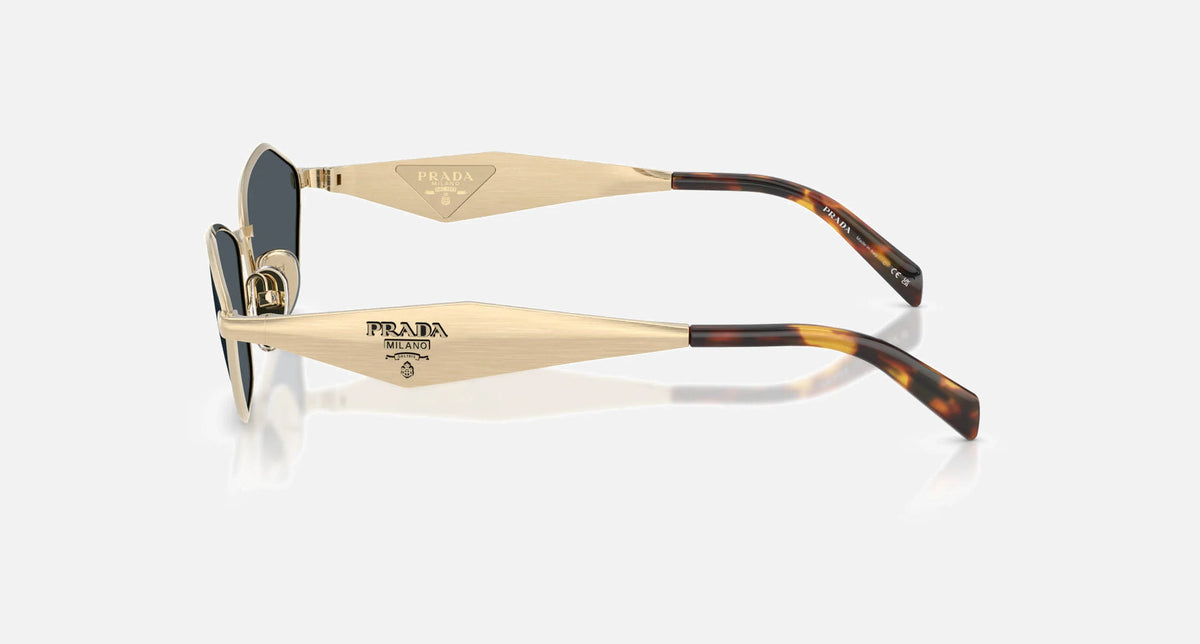 PR D50S / Dark Grey/Pale Gold(ZVN70B) / 57-16-140