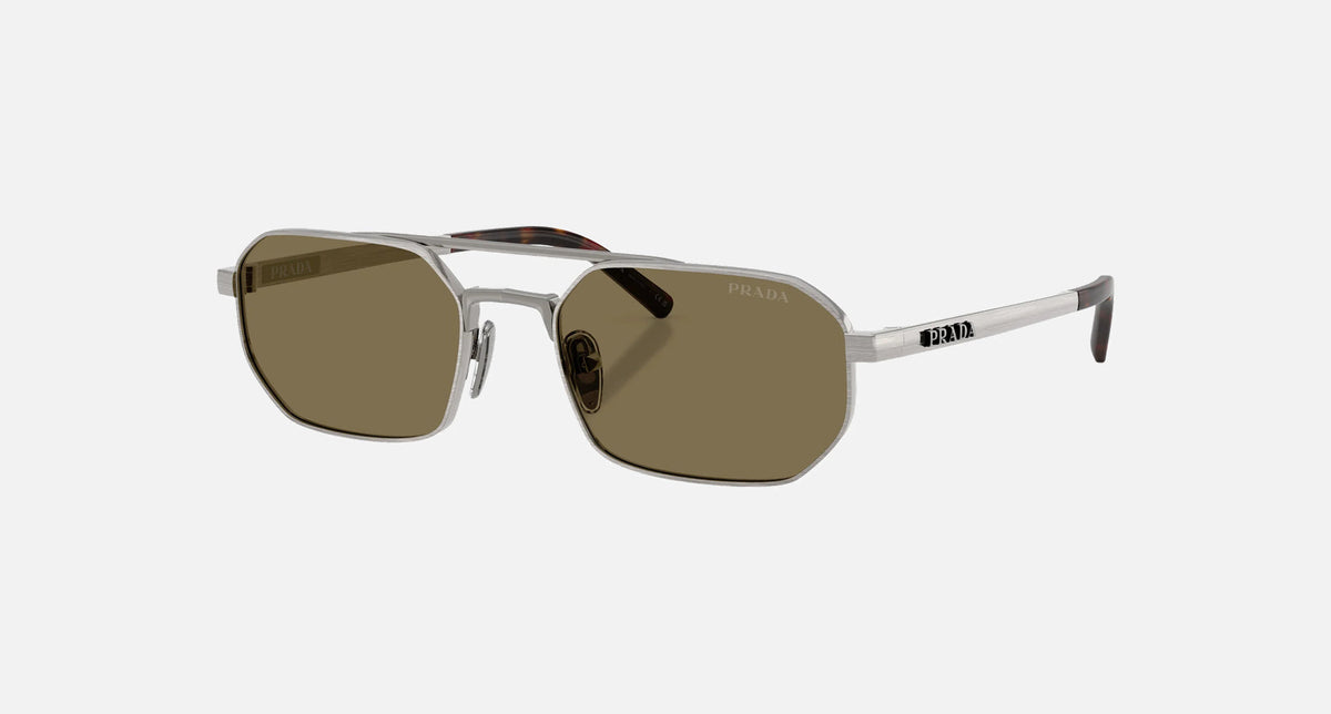 PR D53S / Light Brown/Satin Gunmetal(23J90F) / 55-19-140