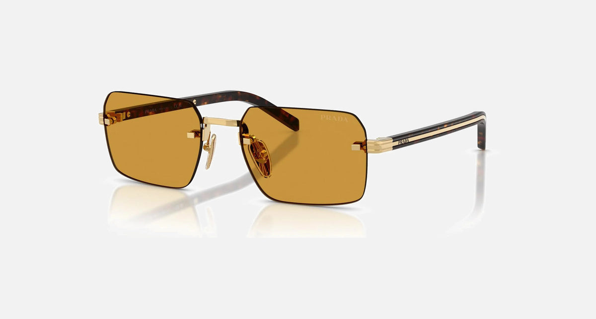 PR D55S / Dark Honey/Gold(5AK50P) / 55-19-145