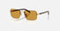 PR D55S / Dark Honey/Gold(5AK50P) / 55-19-145