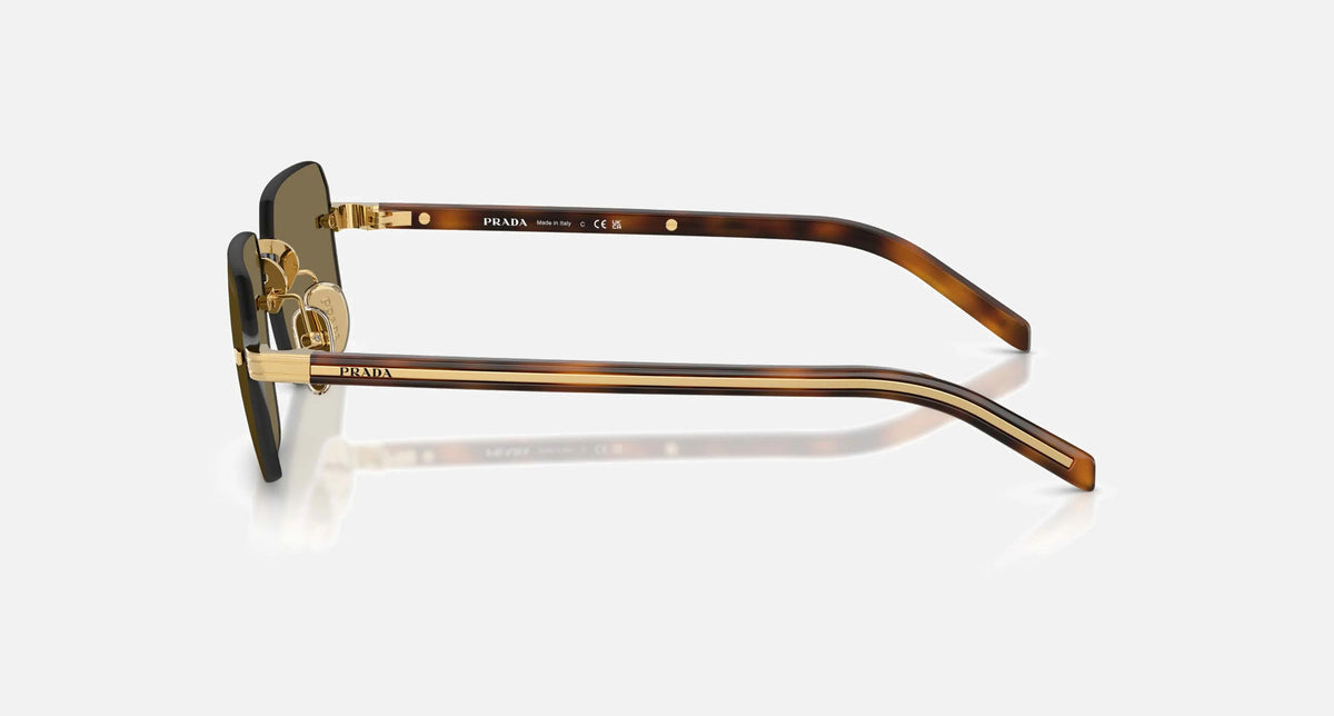 PR D55S / Light Brown/Gold(5AK90F) / 55-19-145