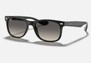 RJ9052S / Polished Black(100/11) / 48-16-130