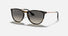 RJ9060S / Polished Havana(704911) / 50-15-130