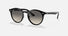 RJ9064S / Polished Black(100/11) / 44-19-130