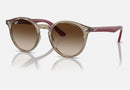 RJ9064S / Polished Transparent Brown(712313) / 44-19-130