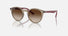 RJ9064S / Polished Transparent Brown(712313) / 44-19-130