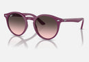 RJ9064S / Polished Cherry(716246) / 44-19-130