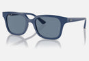 RJ9071S / Polished Blue(71612V) / 48-18-130