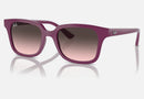 RJ9071S / Polished Cherry(716246) / 48-18-130