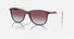 RJ9077S / Polished Purple On Beige(71348G) / 49-16-130
